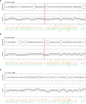 In vivo efficacy assessment of the CDK4/6 inhibitor palbociclib and the PLK1 inhibitor volasertib in human chordoma xenografts